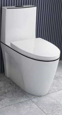 black line luxury wc